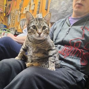 Meet your Posher, Crystal